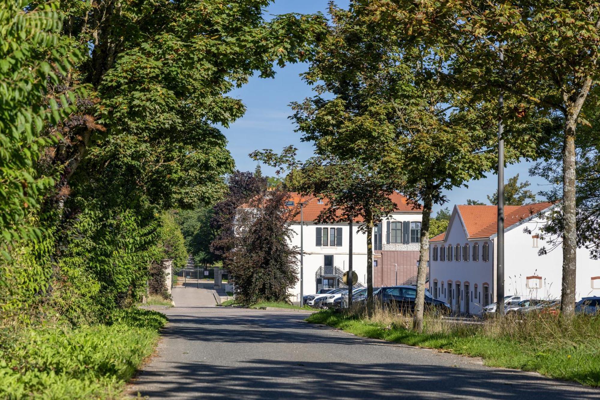 Hotel Du Chateau Villers-les-Nancy Ngoại thất bức ảnh